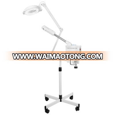 Esthology Premium Multifunction Ozone Facial Steamer with Magnification Lamp